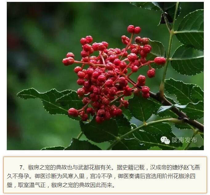 蘭渝鐵路最早由孫中山先生提出？在隴南，你不知道的事兒還有……