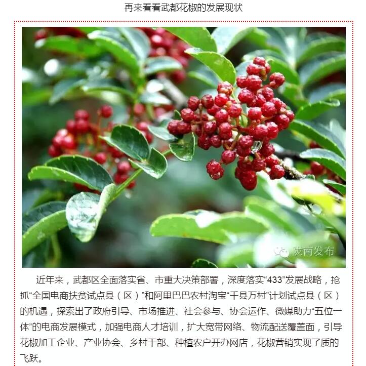 5.28億！一場盛會(huì)，武都花椒“火”了