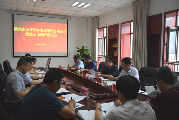 隴南市委常委、組織部部長楊郃調(diào)研指導(dǎo)市龍江城鄉(xiāng)發(fā)展集團公司黨建工作