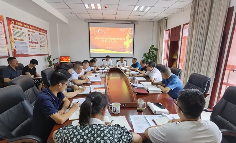 市龍江集團(tuán)召開黨委(擴(kuò)大)會(huì)議